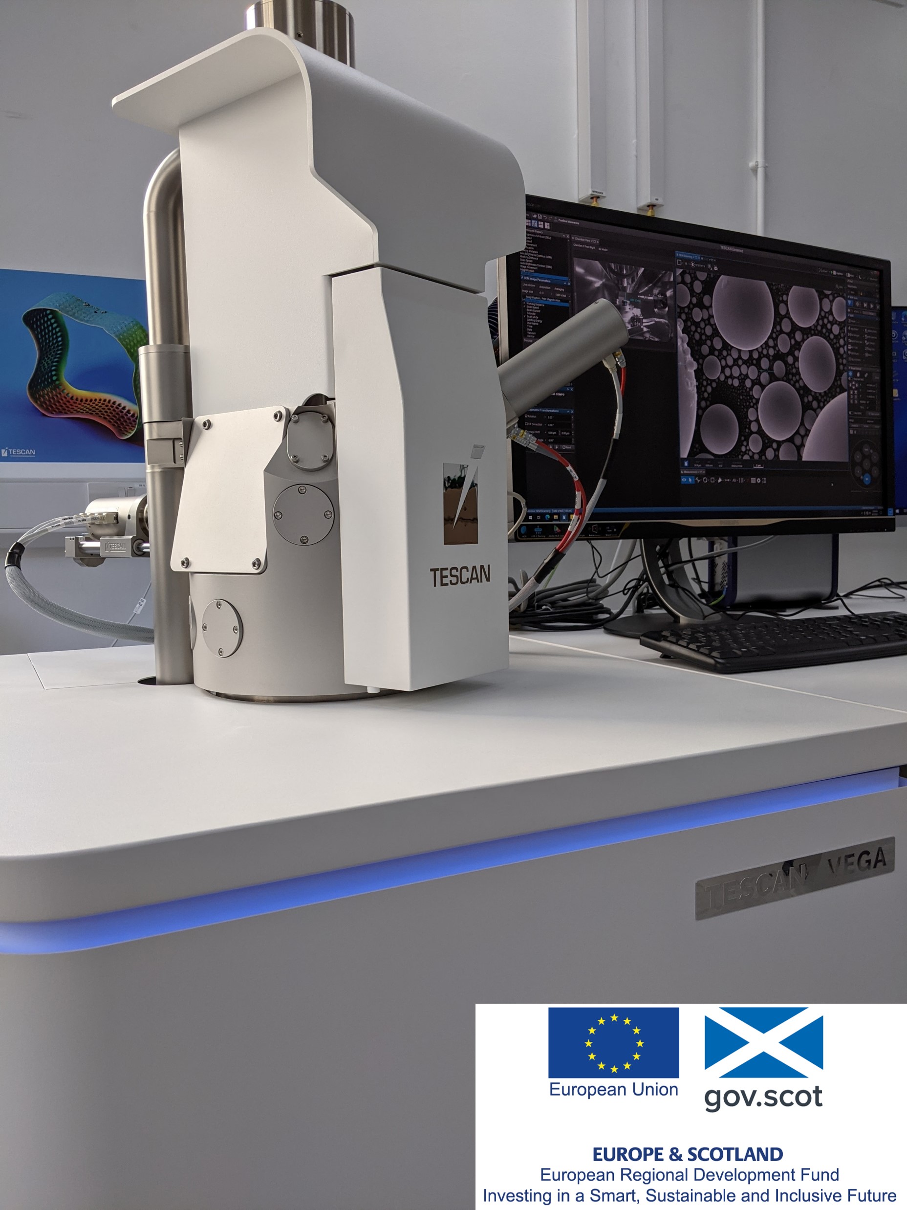 SEM/EDX analysis